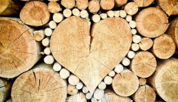 11 raisons de porter un accessoire en bois